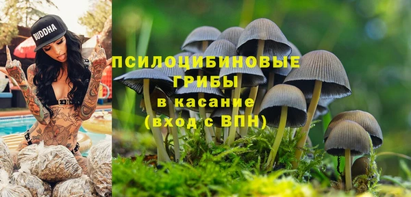ALPHA PVP Арсеньев