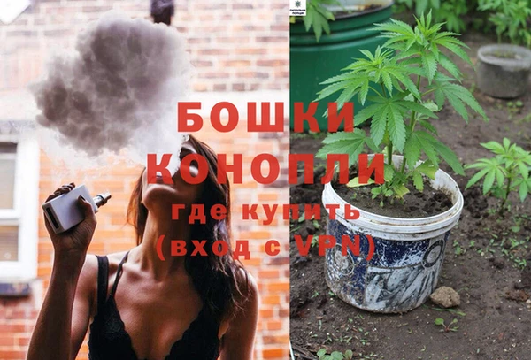 ALPHA PVP Богородицк